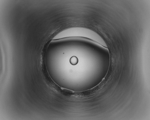 X0000116510211200912161345