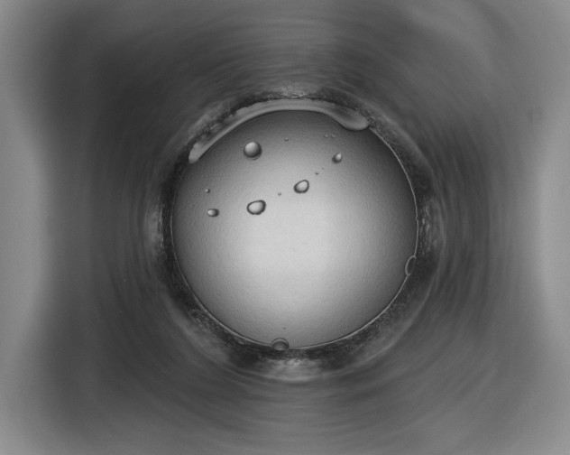 X0000116510212200912161345