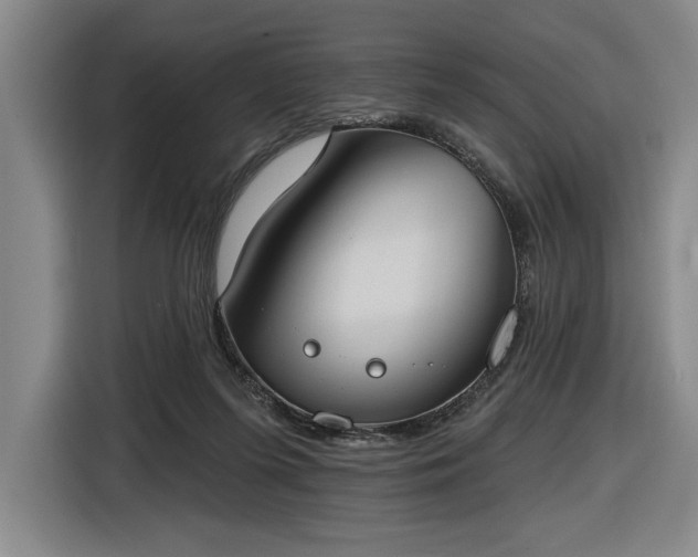 X0000116510215200912161345