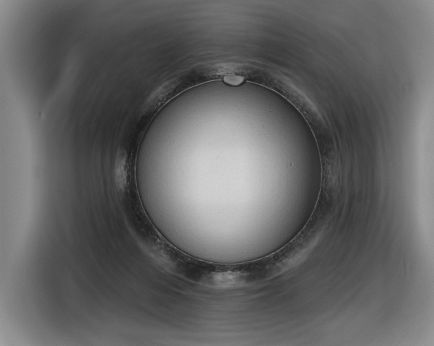 X0000116510216200912161345