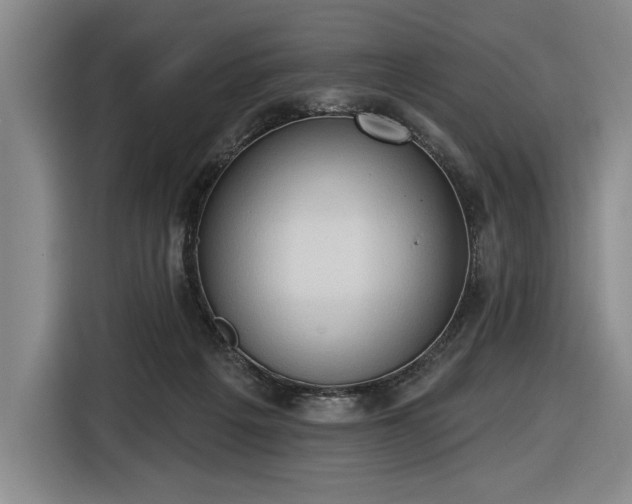 X0000116510217200912161345