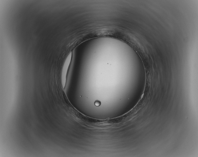 X0000116510219200912161345