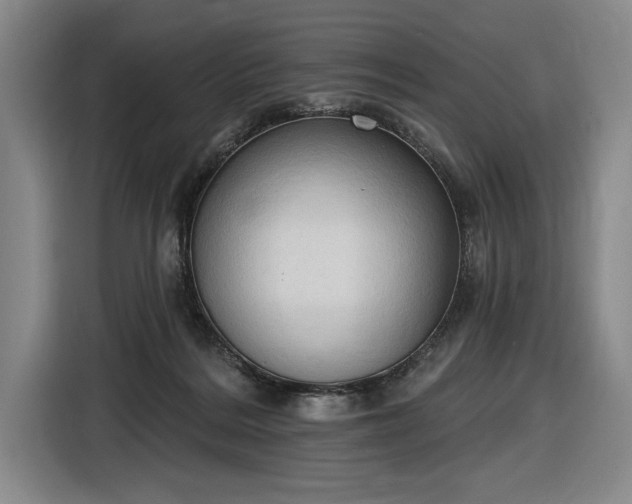 X0000116510220200912161345