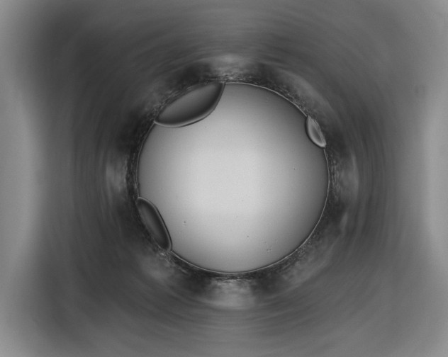 X0000116510221200912161345