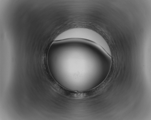 X0000116510225200912161345