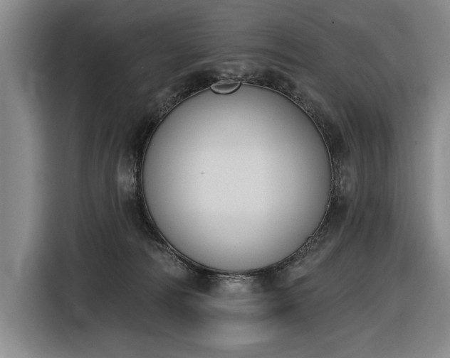 X0000116510226200912161345