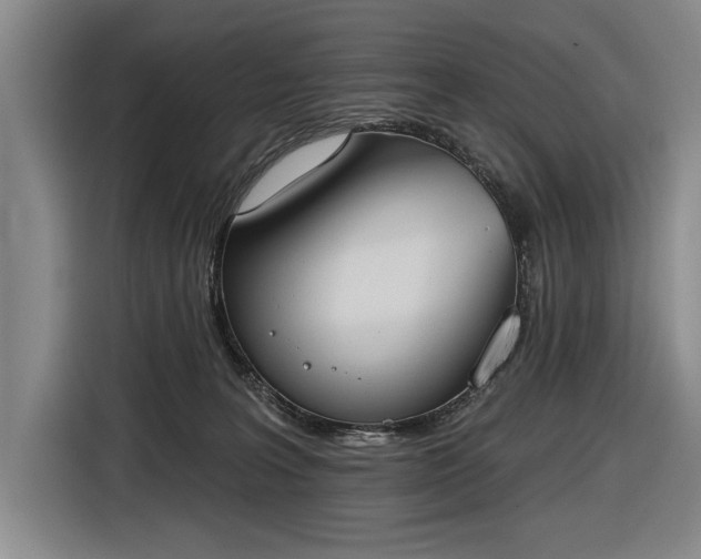 X0000116510227200912161345