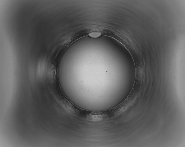 X0000116510228200912161345