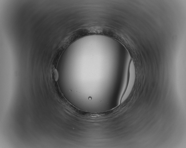 X0000116510229200912161345