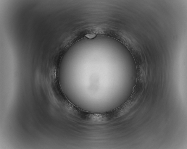 X0000116510230200912161345