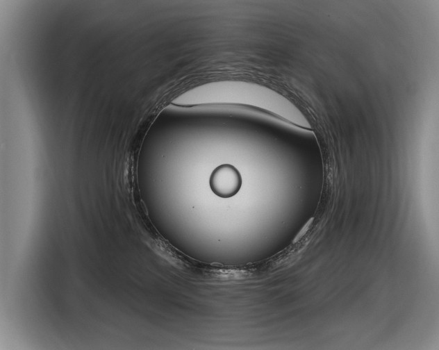 X0000116510233200912161345