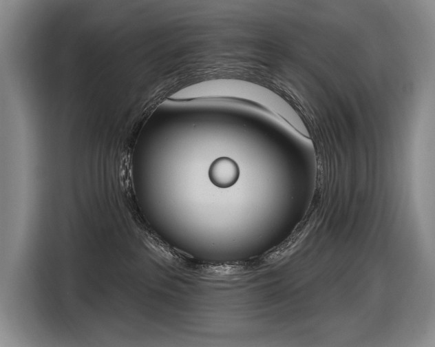 X0000116510237200912161345