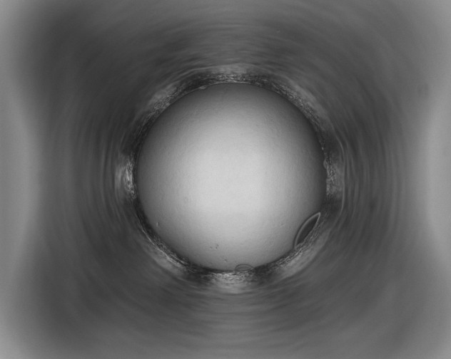 X0000116510238200912161345