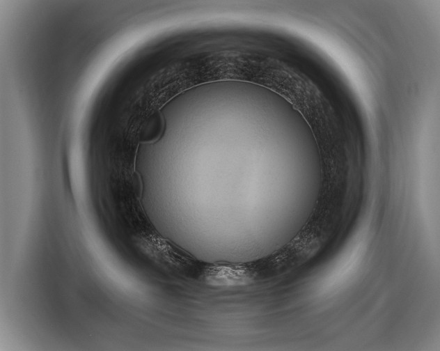 X0000116510239200912161345