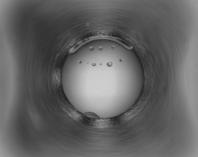 X0000116510240200912161345