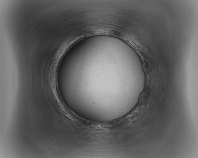 X0000116510241200912161344