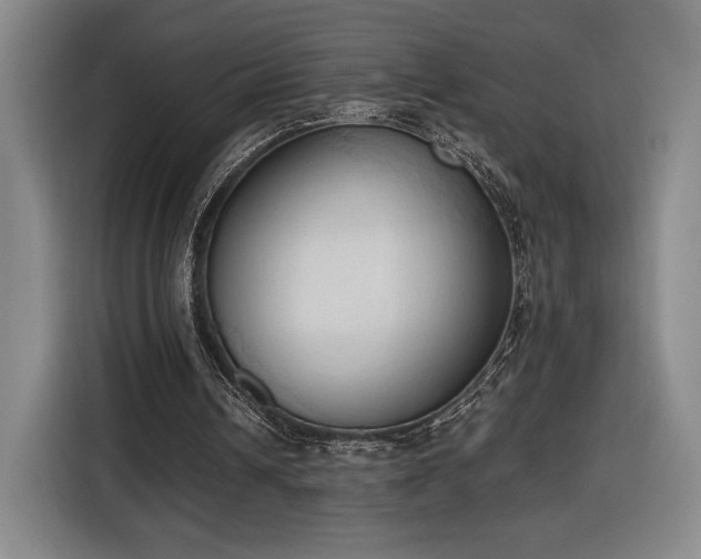 X0000116510242200912161344