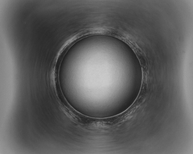 X0000116510244200912161344