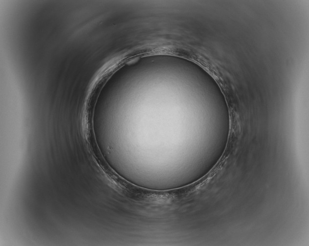 X0000116510245200912161344