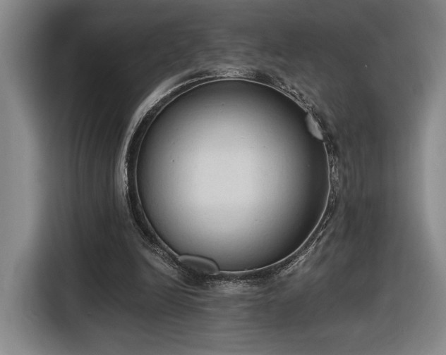 X0000116510246200912161344