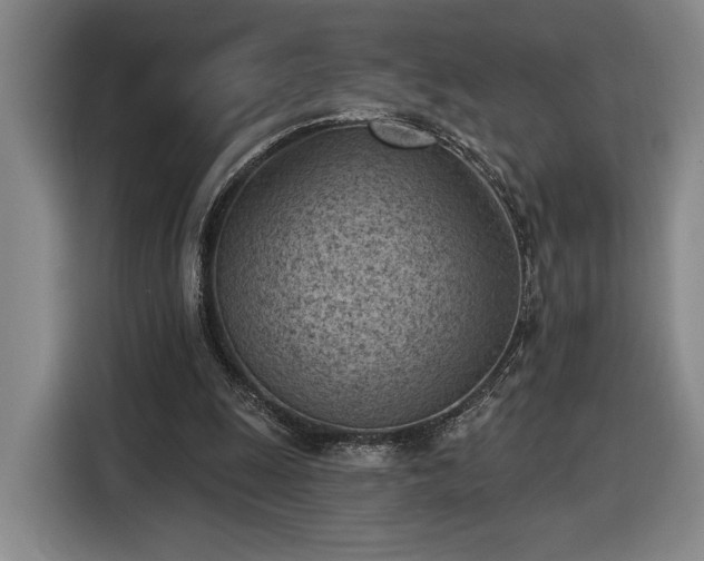 X0000116510247200912161344