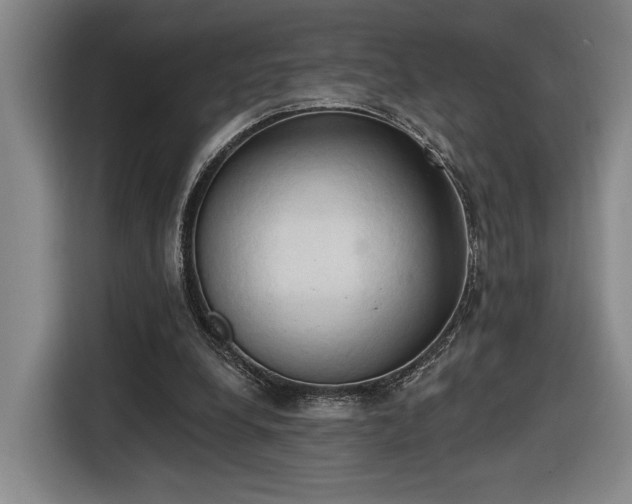 X0000116510248200912161344