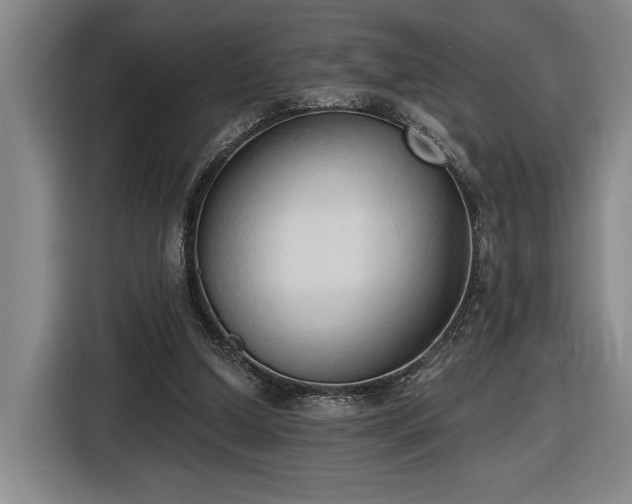 X0000116510250200912161344