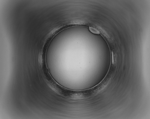 X0000116510252200912161344