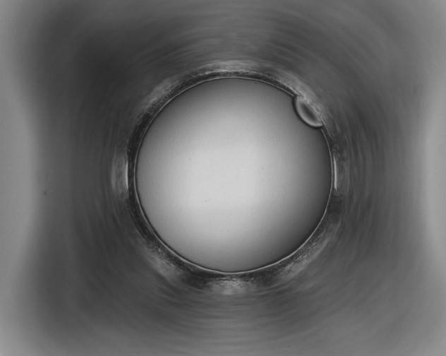 X0000116510253200912161344