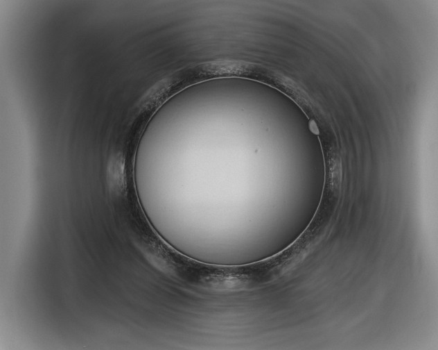 X0000116510254200912161344