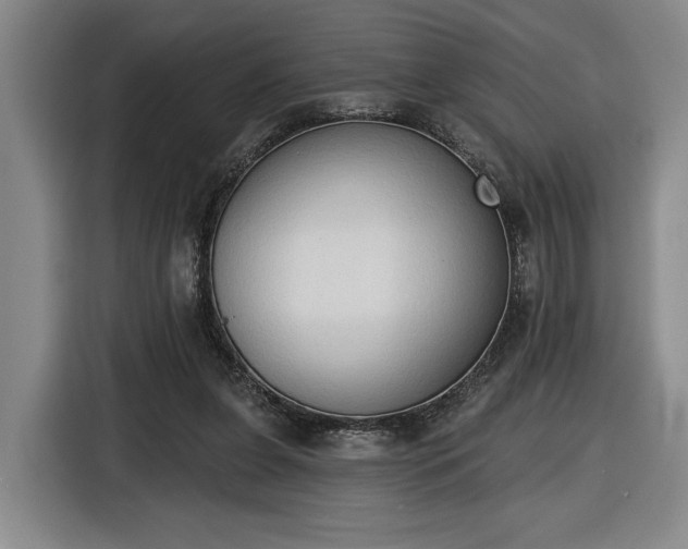 X0000116510255200912161344