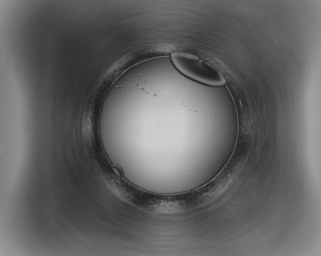 X0000116510256200912161344