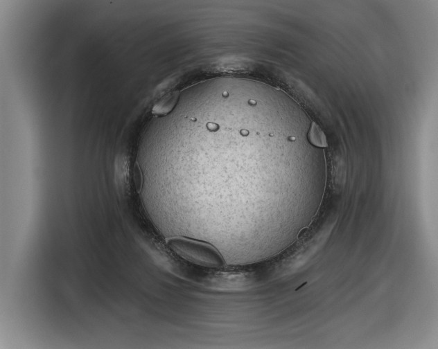 X0000116510260200912161344