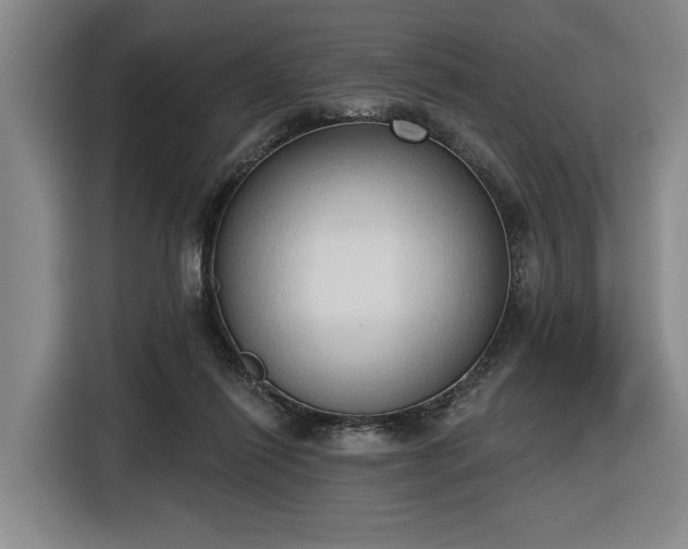 X0000116510262200912161344