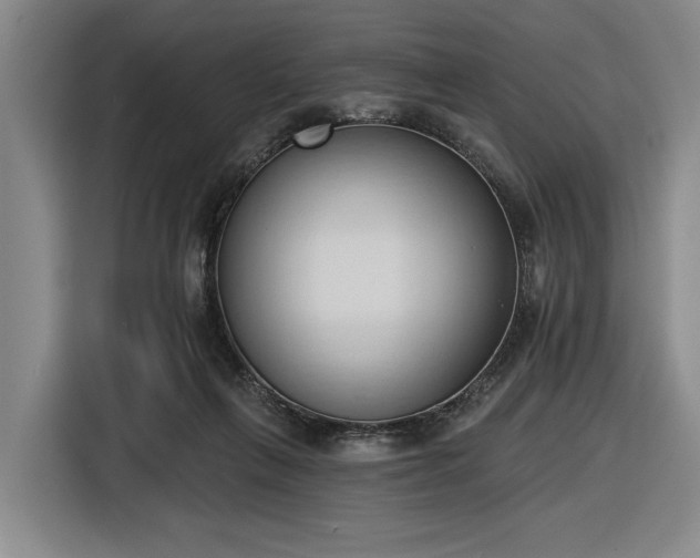 X0000116510263200912161344