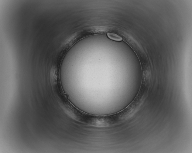 X0000116510264200912161344