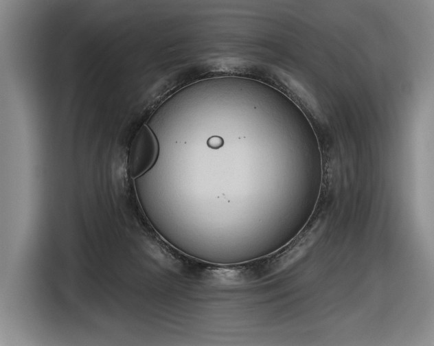 X0000116510265200912161344