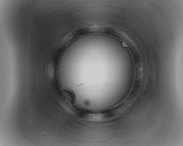 X0000116510266200912161344