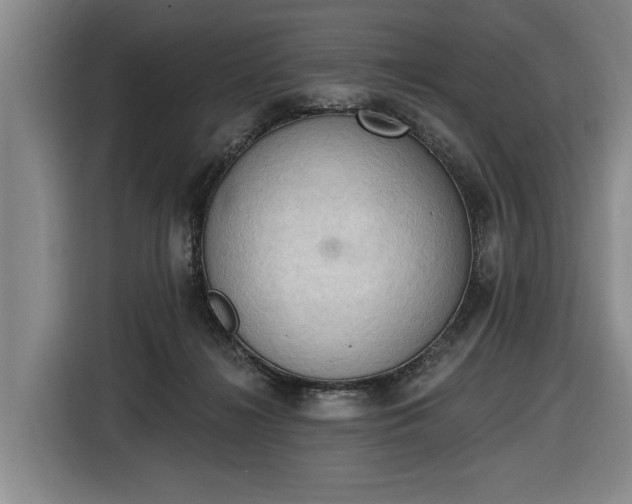 X0000116510268200912161344