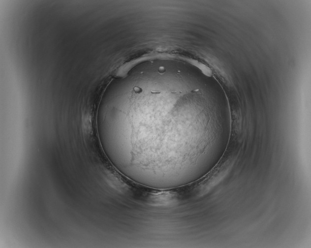 X0000116510269200912161344