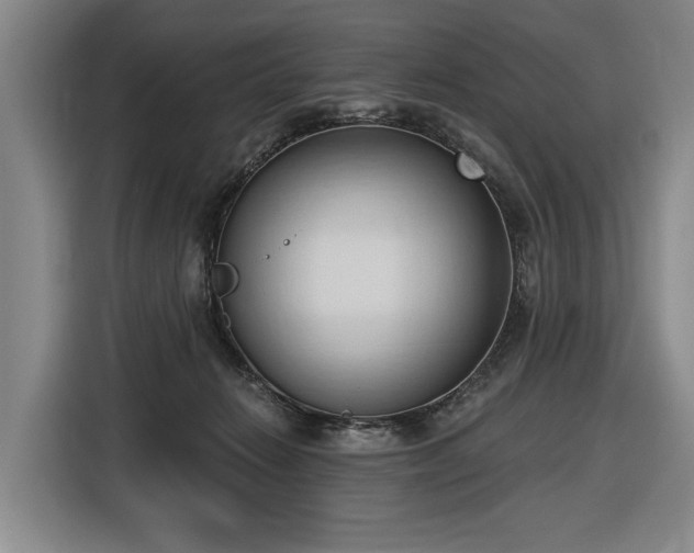 X0000116510270200912161344