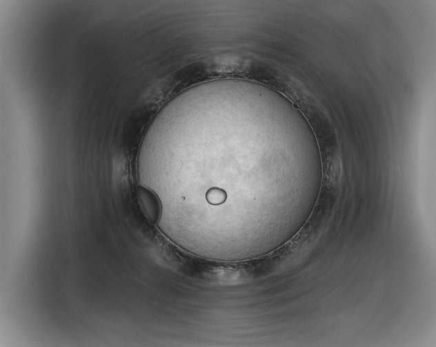 X0000116510272200912161344