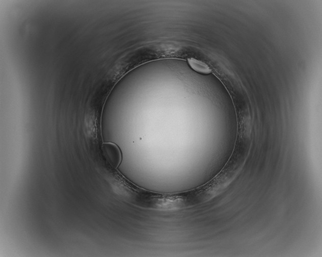 X0000116510274200912161345