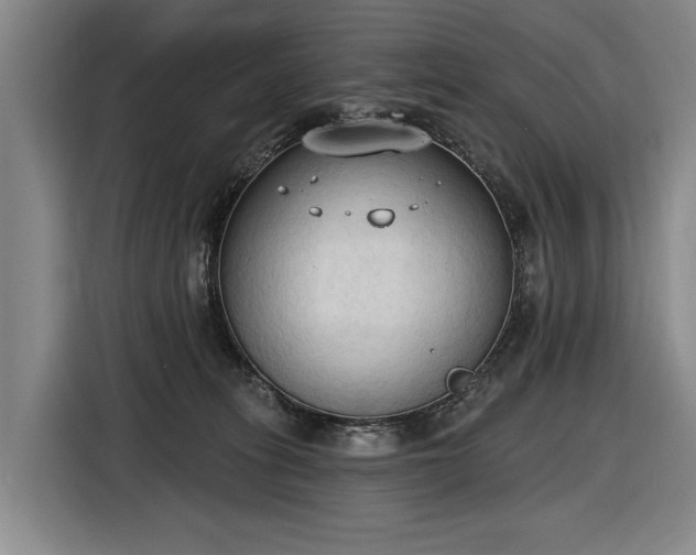 X0000116510275200912161345