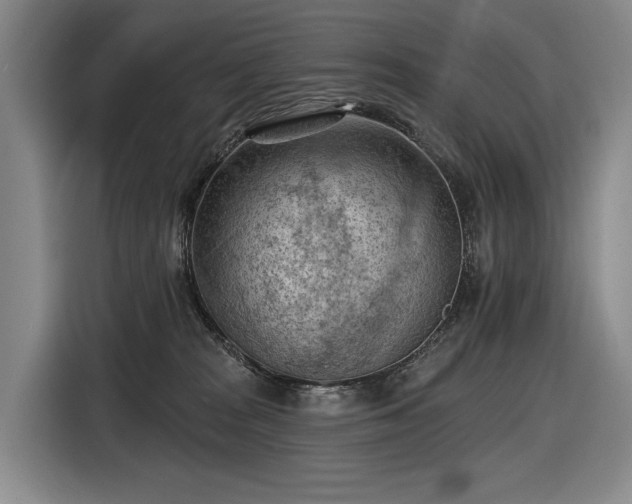 X0000116510277200912161345