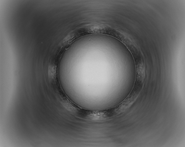 X0000116510278200912161345