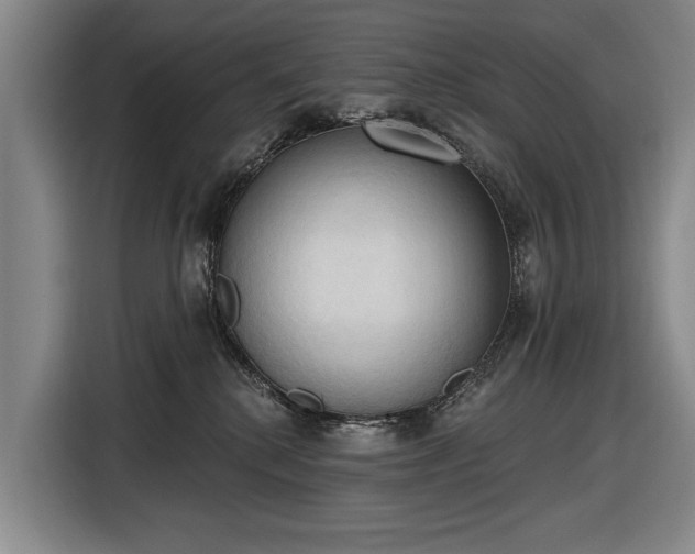 X0000116510280200912161345