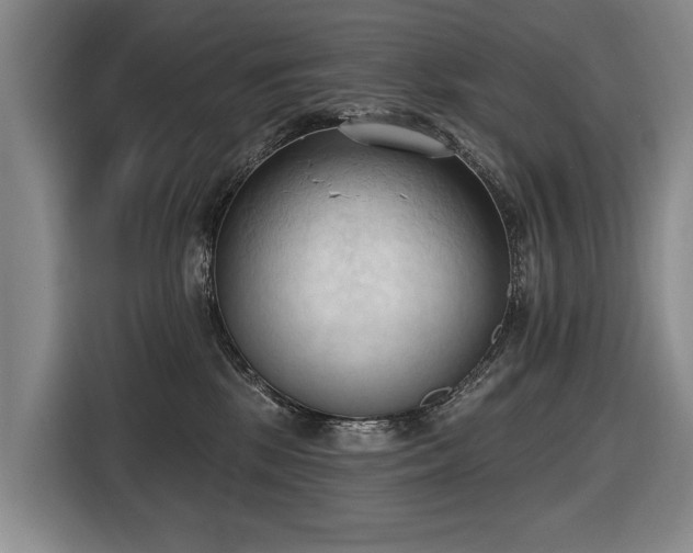 X0000116510281200912161345