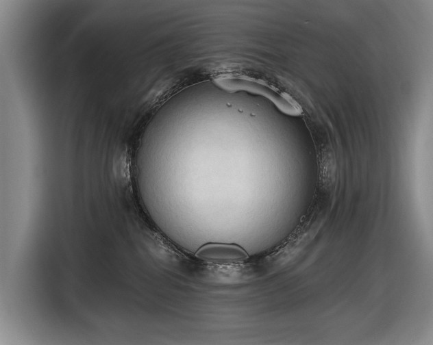 X0000116510282200912161345