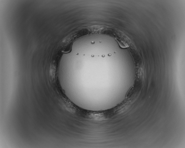 X0000116510283200912161345